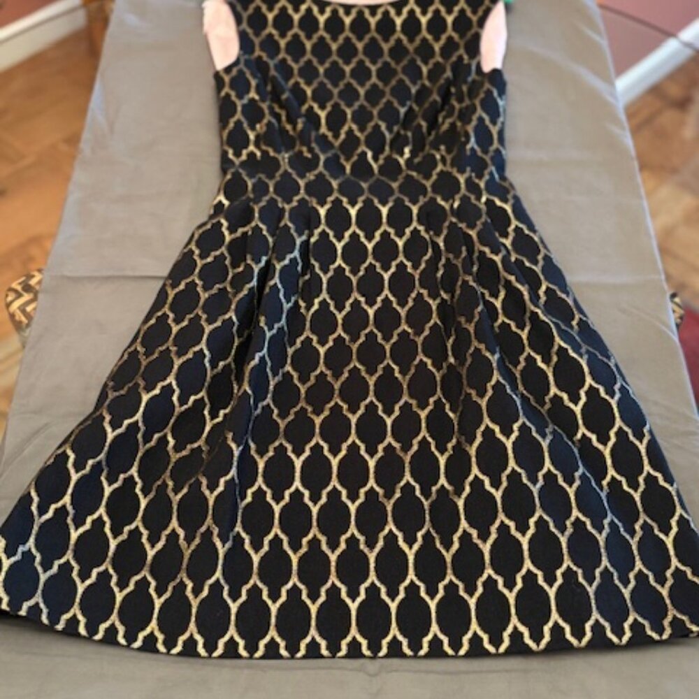 Vince Camuto Black & Gold Embroidered Party Dress